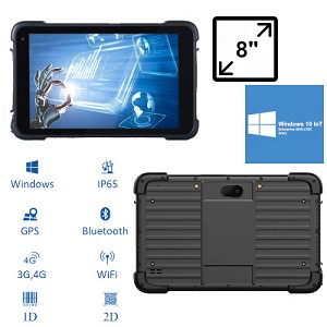 TAH-H0801-064GR-W10IoT
